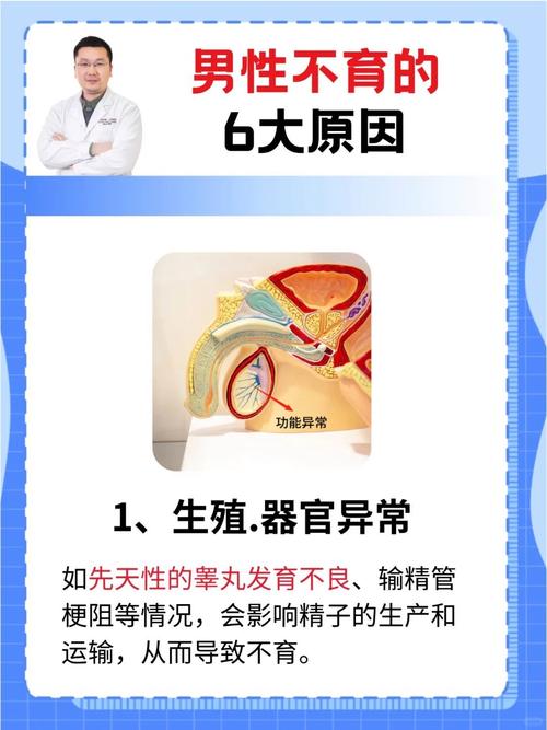 男性无精和死精是什么症状 男性无精和死精是什么症状