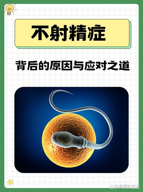 不孕症筛查的新认识 不孕症筛查的新认识