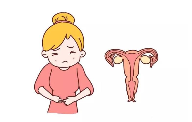 试管婴儿的七个步骤 试管婴儿的七个步骤