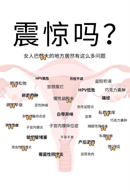 女科的中医妇科 女科的中医妇科