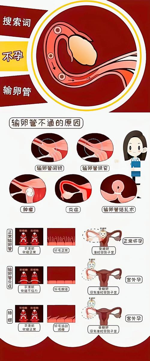 女人不能生孩子的原因 女人不能生孩子的原因