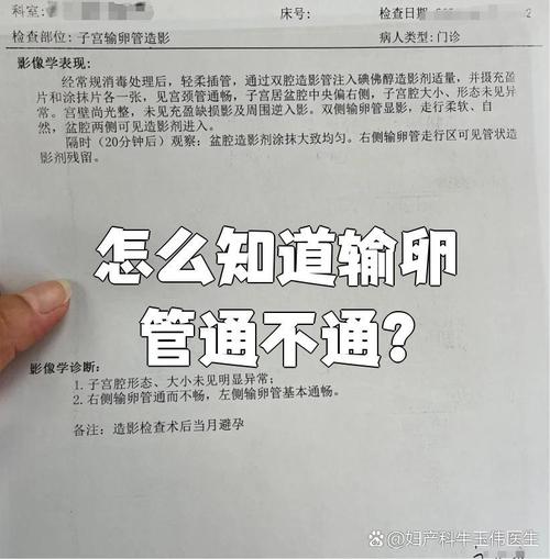 输卵管堵塞的治疗方法 输卵管不通吃什么药好 输卵管堵塞的治疗方法 输卵管不通吃什么药好