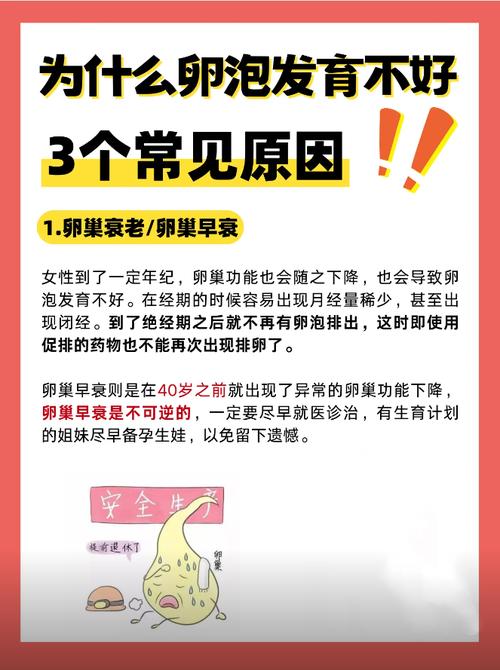 不孕症的中医辨证分型