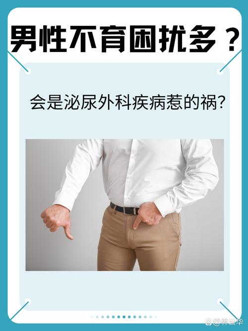 男科副主任耿强当选中国性学会男性生殖医学委员会常务委员 男科副主任耿强当选中国性学会男性生殖医学委员会常务委员